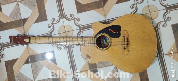 Givson oxford guitar